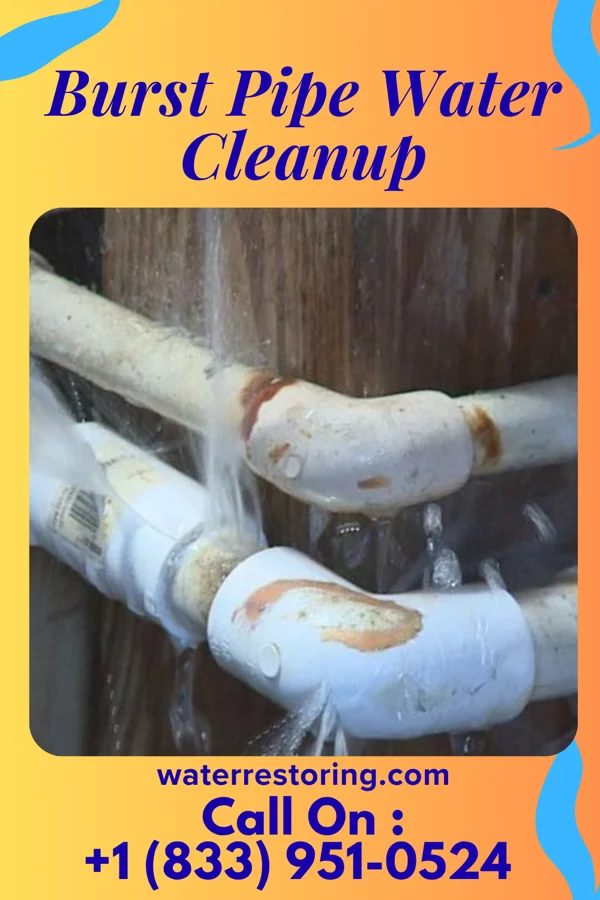 Burst Pipe Water Cleanup in Rockport, KY