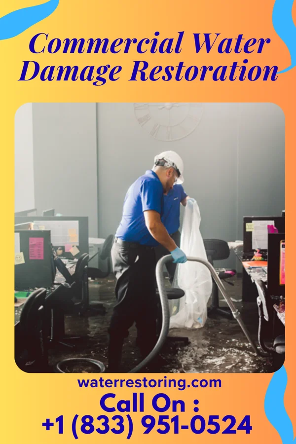 Commercial Water Damage Restoration in Rockport, KY