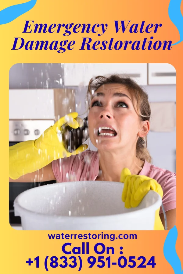 Emergency Water Damage Restoration in Rockport, KY