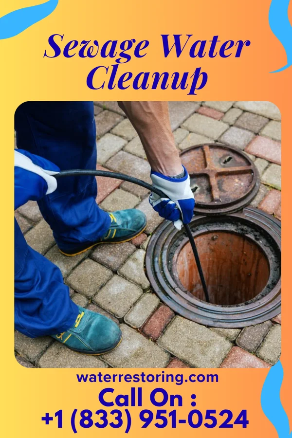 Sewage Water Cleanup in Rockport, KY