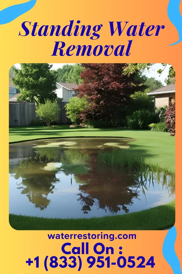 Standing Water Removal in Rockport, KY